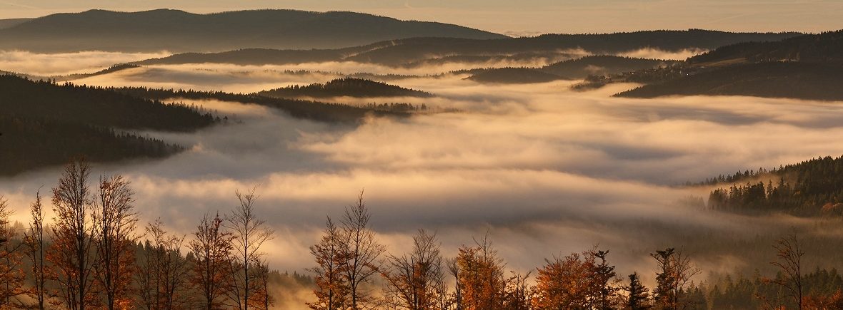 Herbstliches Bergpanorama im Bayerischen Wald mit Nebel im Tal