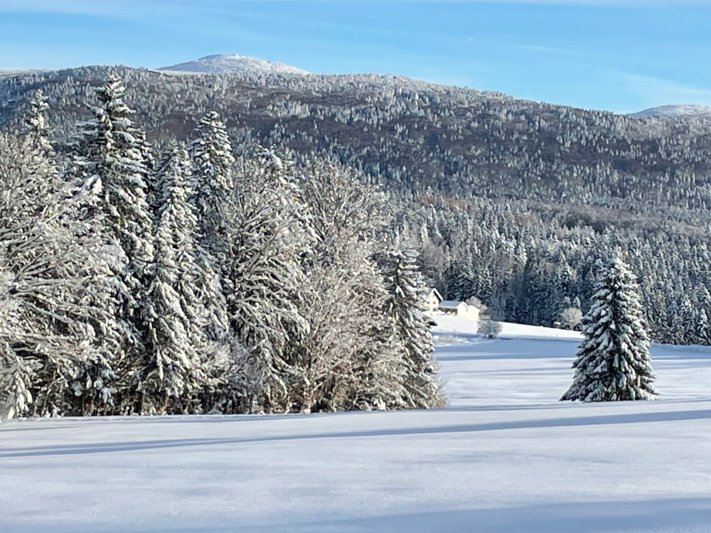 Winterliche Landschaft Anfang Dezember 2023 am Grashöfle