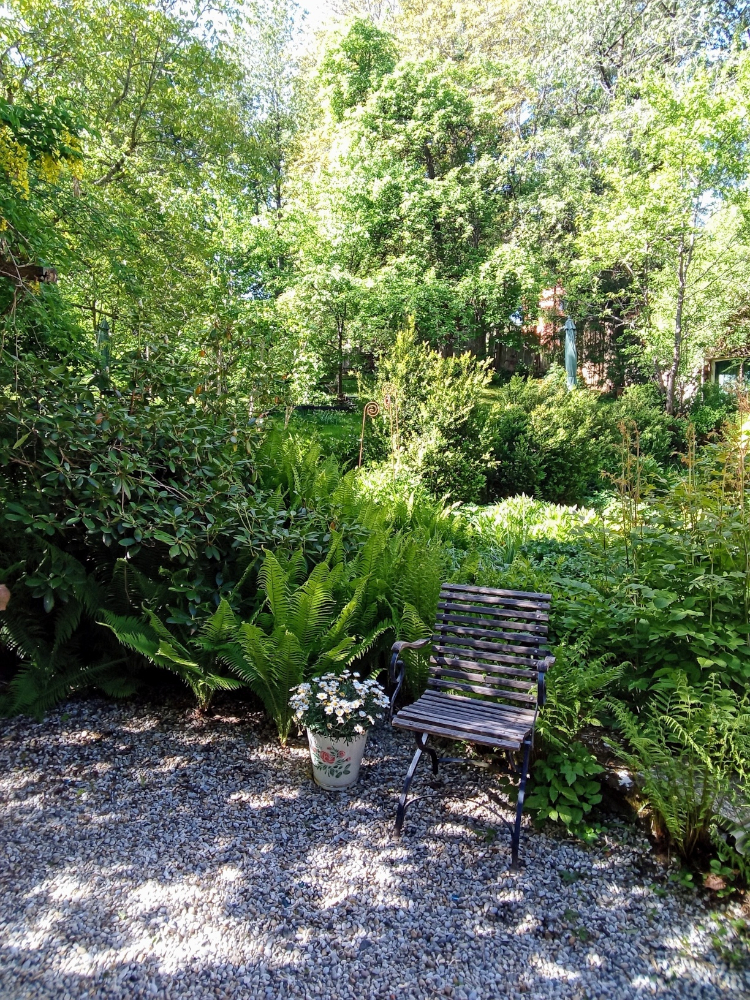 grashoefle_garten_2025_1 Gartenstuhl in lauschiger Gartenecke im Grashöfle